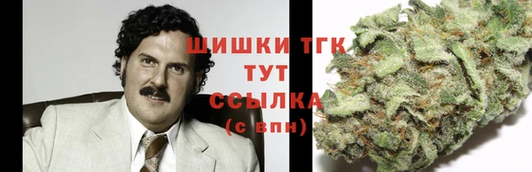 apvp Козельск