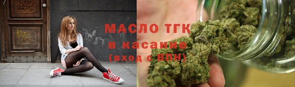 твердый Краснослободск