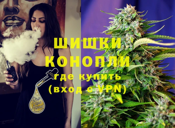 тгк Богородск
